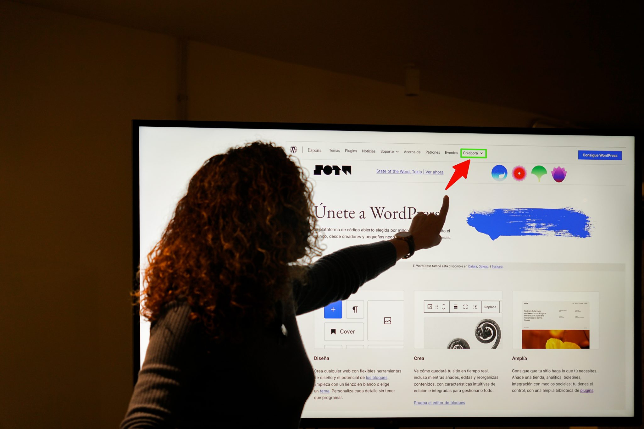 Was droppt Mullenweg morgen in seiner State- of-the-Word-Rede?